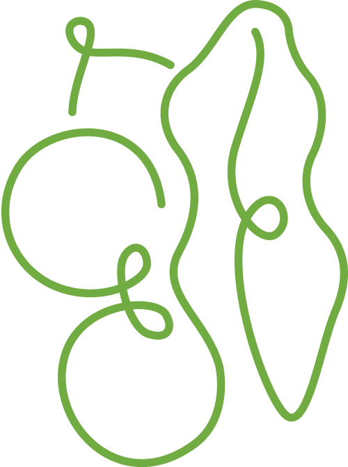 decoration of food in a doodle